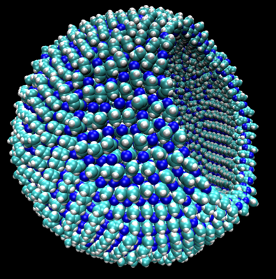 A representation of a 9-nanometer azotosome, about the size of a virus, <br />with a piece of the membrane cut away to show the hollow interior. <br />(Credit: James Stevenson)
