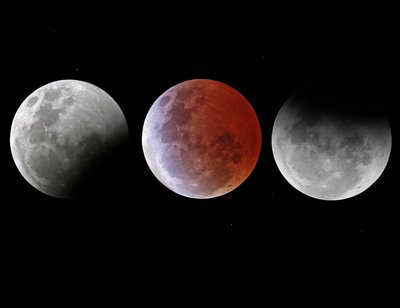 Lunar elipse 4 April 2015 collage.jpg