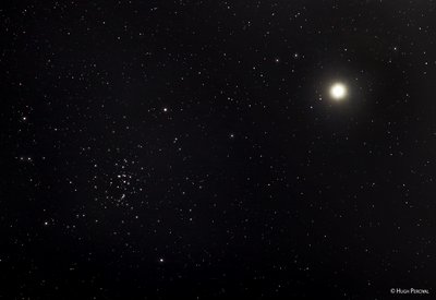 M44+Jupiter_Hugh Percival_small.jpg