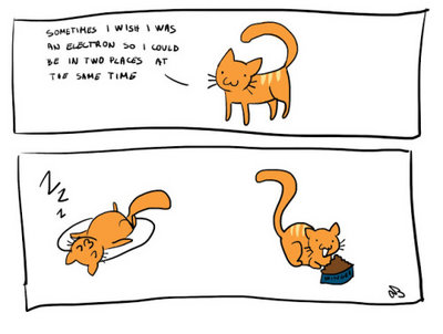 Cats Paradox.jpg