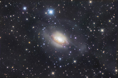NGC-3521-LRGB-ridotta_mod (1).jpg
