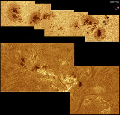 AR2339-2015.05.10-COL_.jpg