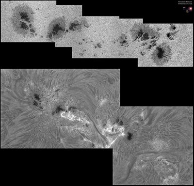 AR2339-2015.05.10-B&W_.jpg