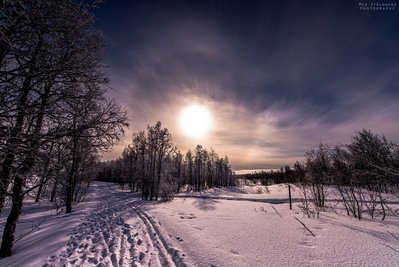 SolarHalo_small_small.jpg