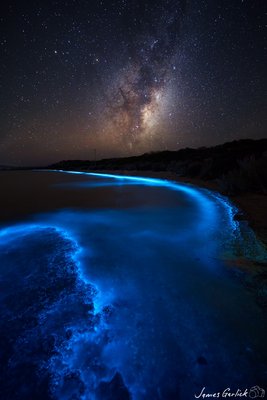 Milky Bioluminence - James Garlick_.jpg