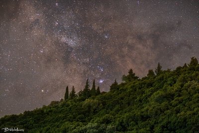 Milkyway and trees