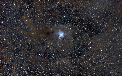 NGC 7023 robert fields_small_.jpg