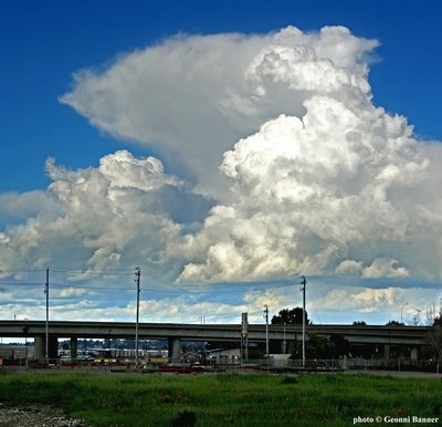 Spring Field Sky copyright notice_small.jpg