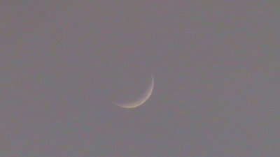 Crecent Moon (1).JPG