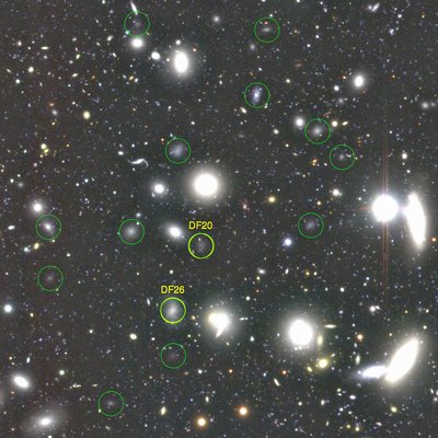 Figure 1: A color image made with B, R, and i-band images from the Subaru <br />Telescope. A small region of 6 x 6 arcmin is cut out from large Coma Cluster <br />images. Yellow circles show two of the 47 dark galaxies discovered last year, <br />and green circles are the ones discovered in this new study. (Credit: NAOJ)