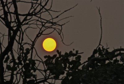 Fairbanks Smoke Sun with Spots_.jpg