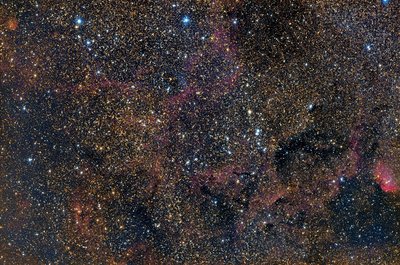 NGC 6971_6883_Tulip Submit Robert Fields_.jpg