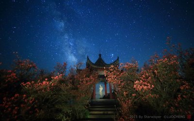 Step From Flowers To Milkway_small.jpg