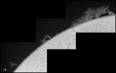 Prominence-2015.06.21b&w_small.jpg