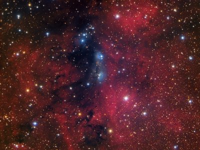 NGC_6914 Juan Lozano_small.jpg