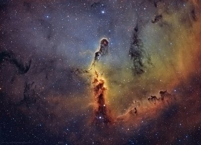 IC1396 Jesus Vargas_Maritxu Poyal_small_.jpg