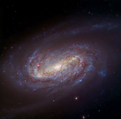 NGC2903-HST-WIYN-SS.jpg