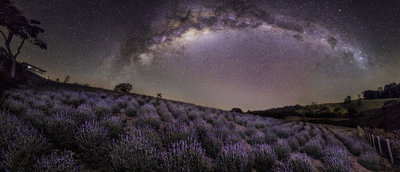 Lavender Field under Southern Milky Way Arch by Rafael Defavari.jpg