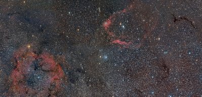 Cepheus Widefield Final Web_small.jpg