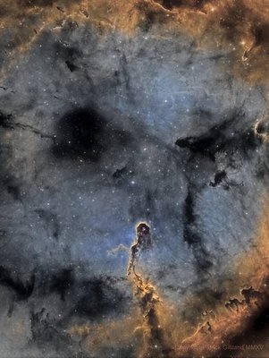 ic1396 fovo_small.jpg