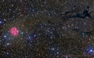 ic5146 dsw_small.jpg