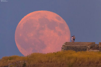 Touching the Moon