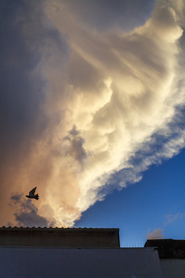 mérida, spain. 2015-08-21