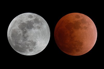 Lunar-Eclipse-20-02-2008_small.jpg