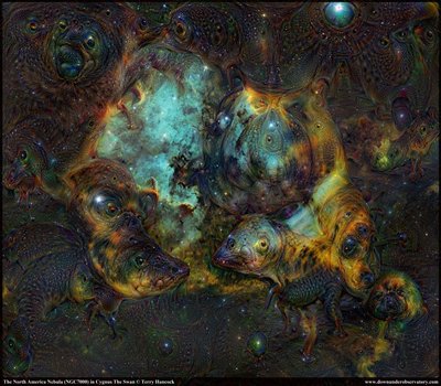 Google deep dream_NGC7000.jpg