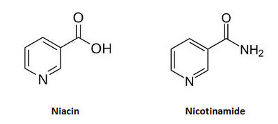 niacin1.jpg