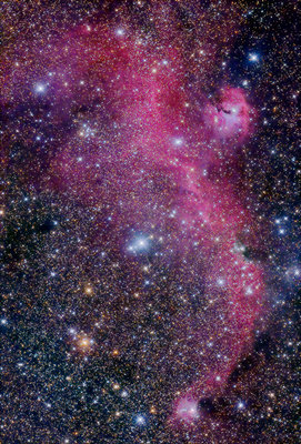 IC2177_WN.jpg