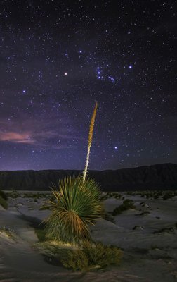 -1442158293-Dunas de Sal, Cuatrociénegas Coah_small.jpg