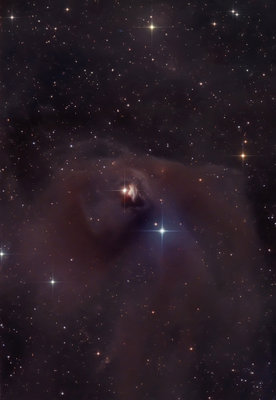 NGC1555_POSS2_Czernetz.jpg