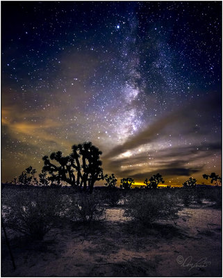 Stars in the Arizona Desert.jpg
