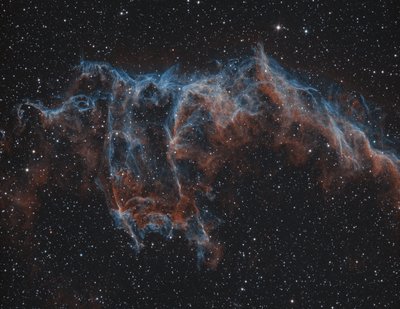 Eastern_Veil_Bi-Colour_PW_U16M_Big_small.jpg