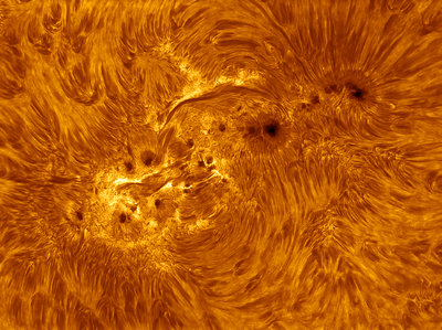AR 2443 Sunspot Group