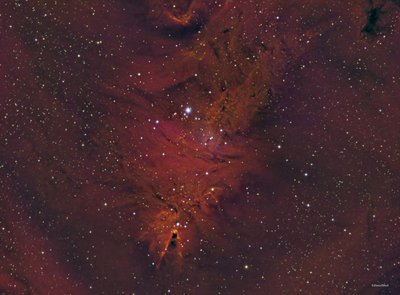 NGC2264apod.jpg