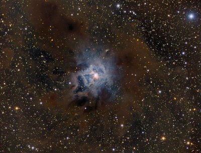 Iris Nebula v3 JPG_small.jpg