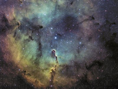 IC1396 The Elephant Trunk Nebula_small.jpg