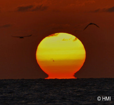 DSC_4073 Sunset Marco Island Florida  APOD copy.jpg