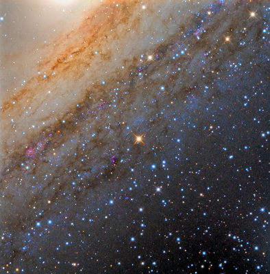 M31Arms.jpg