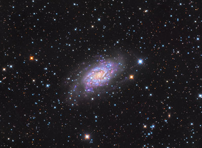 ngc2403m_2.jpg