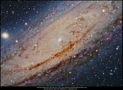 M31_core_LRGB_HA Terry Hancock_small.jpg