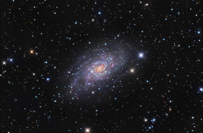 ngc2403-color-1-ridotta.jpg