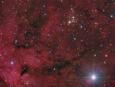 ngc6910.jpg