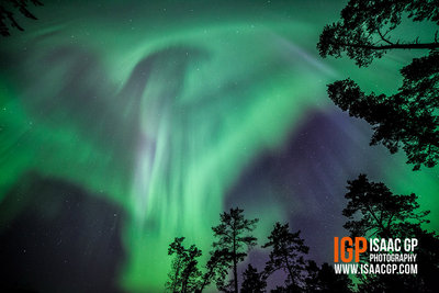 IsaacGP_Eagle-Phoenix-northern-lights-aurora.jpg