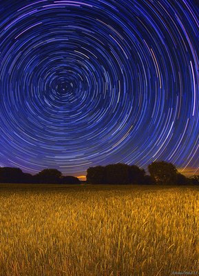 Startrails over the cereal field.jpg