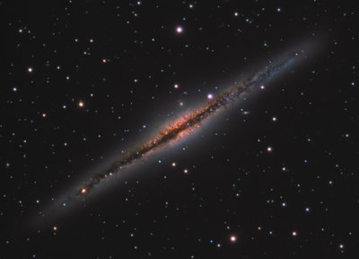 Pavelchak-NGC891-Small.jpg