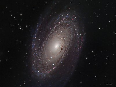 M81.jpg