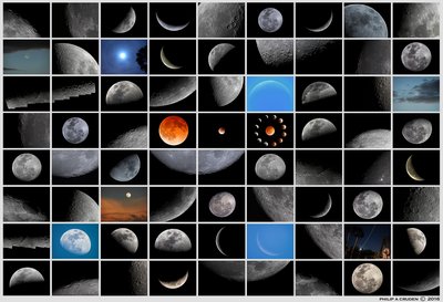 The Many Faces of Our Moon_Small_small.jpg